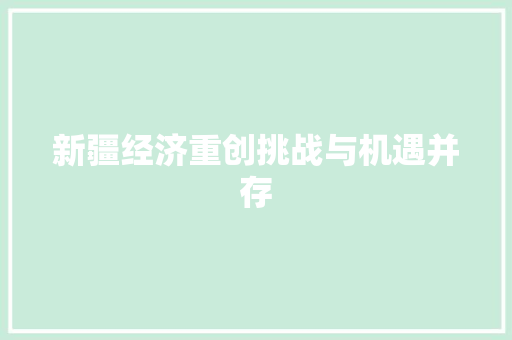 新疆经济重创挑战与机遇并存 新疆经济重创挑战与机遇并存