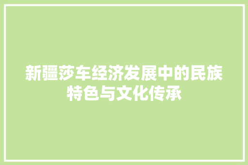 新疆莎车经济发展中的民族特色与文化传承 新疆莎车经济发展中的民族特色与文化传承