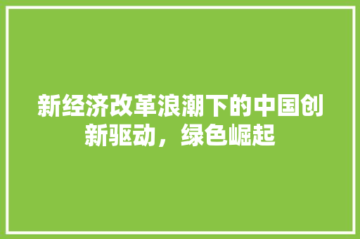 新经济改革浪潮下的中国创新驱动,绿色崛起 新经济改革浪潮下的中国创新驱动,绿色崛起
