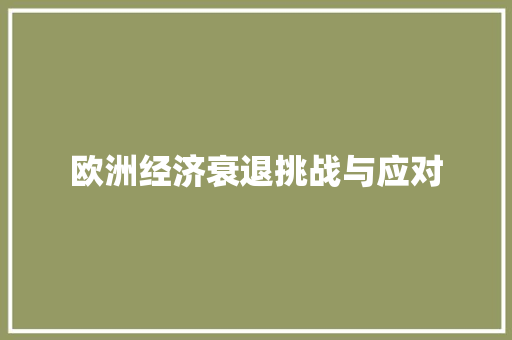 欧洲经济衰退挑战与应对 欧洲经济衰退挑战与应对