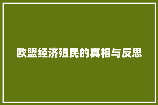 欧盟经济殖民的真相与反思 欧盟经济殖民的真相与反思