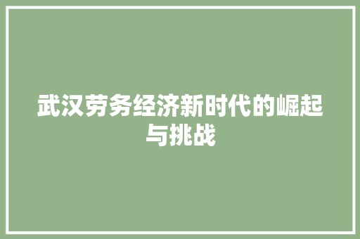 武汉劳务经济新时代的崛起与挑战 武汉劳务经济新时代的崛起与挑战