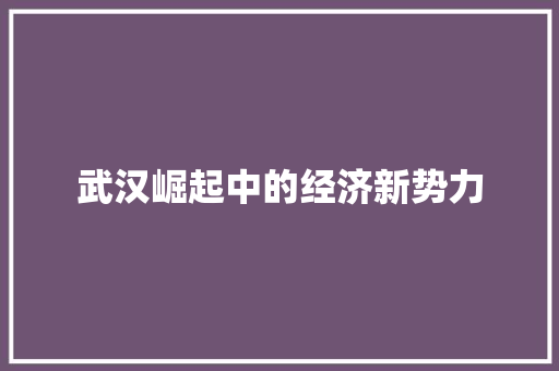 武汉崛起中的经济新势力 武汉崛起中的经济新势力