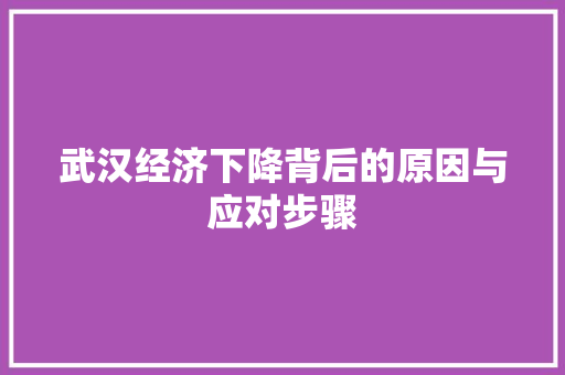 武汉经济下降背后的原因与应对步骤 武汉经济下降背后的原因与应对步骤