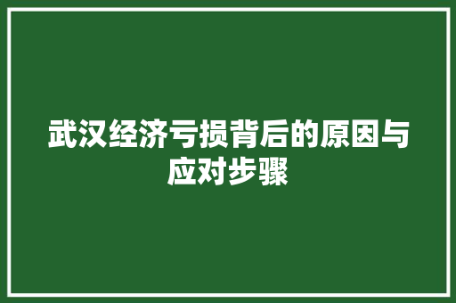 武汉经济亏损背后的原因与应对步骤 武汉经济亏损背后的原因与应对步骤