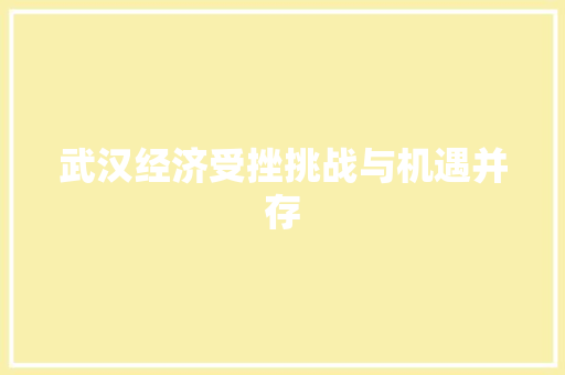 武汉经济受挫挑战与机遇并存