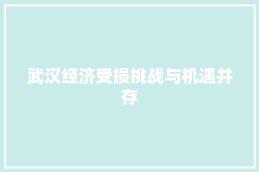 武汉经济受损挑战与机遇并存 武汉经济受损挑战与机遇并存
