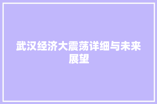 武汉经济大震荡详细与未来展望 武汉经济大震荡详细与未来展望