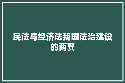 民法与经济法我国法治建设的两翼 民法与经济法我国法治建设的两翼