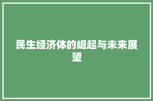 民生经济体的崛起与未来展望 民生经济体的崛起与未来展望