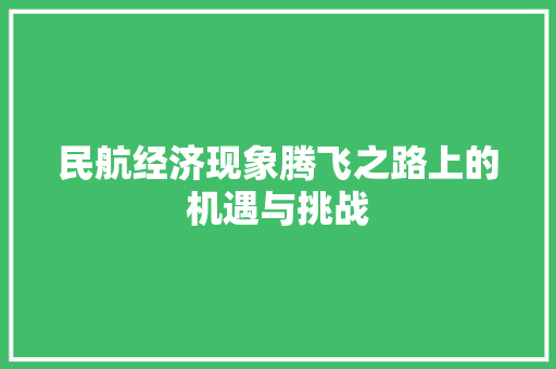民航经济现象腾飞之路上的机遇与挑战 民航经济现象腾飞之路上的机遇与挑战