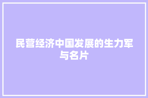 民营经济中国发展的生力军与名片 民营经济中国发展的生力军与名片