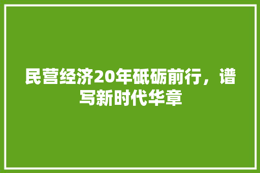 民营经济20年砥砺前行,谱写新时代华章 民营经济20年砥砺前行,谱写新时代华章