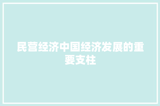 民营经济中国经济发展的重要支柱 民营经济中国经济发展的重要支柱