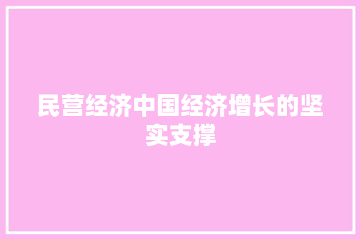 民营经济中国经济增长的坚实支撑 民营经济中国经济增长的坚实支撑