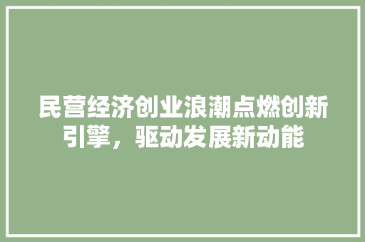 民营经济创业浪潮点燃创新引擎,驱动发展新动能 民营经济创业浪潮点燃创新引擎,驱动发展新动能