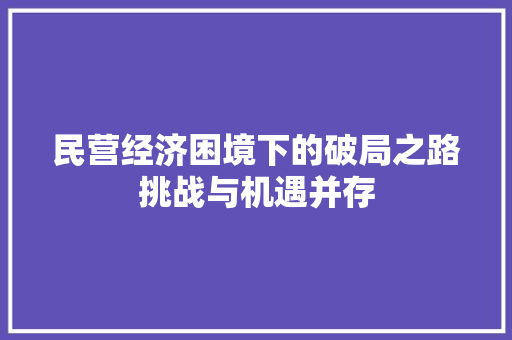 民营经济困境下的破局之路挑战与机遇并存 民营经济困境下的破局之路挑战与机遇并存