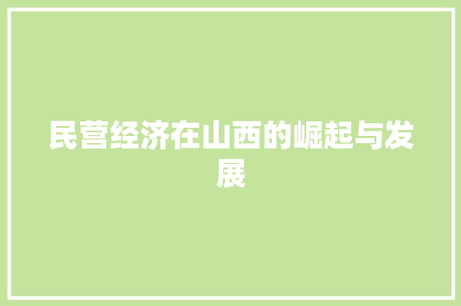 民营经济在山西的崛起与发展 民营经济在山西的崛起与发展