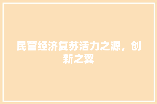 民营经济复苏活力之源,创新之翼 民营经济复苏活力之源,创新之翼