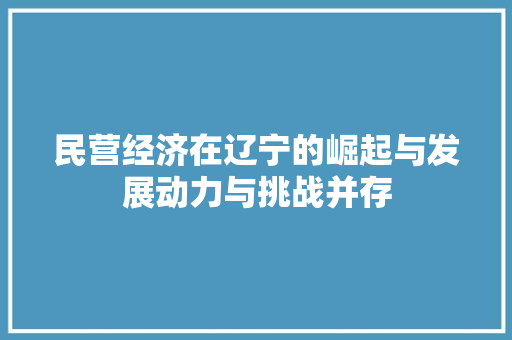 民营经济在辽宁的崛起与发展动力与挑战并存 民营经济在辽宁的崛起与发展动力与挑战并存
