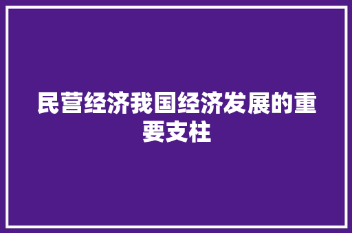 民营经济我国经济发展的重要支柱 民营经济我国经济发展的重要支柱