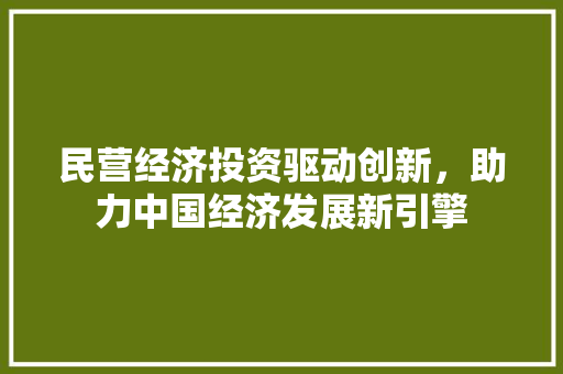 民营经济投资驱动创新,助力中国经济发展新引擎 民营经济投资驱动创新,助力中国经济发展新引擎
