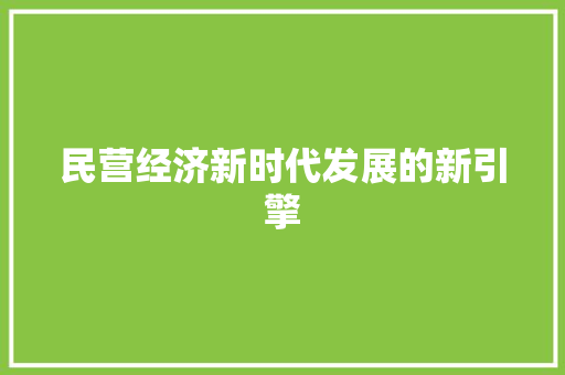 民营经济新时代发展的新引擎