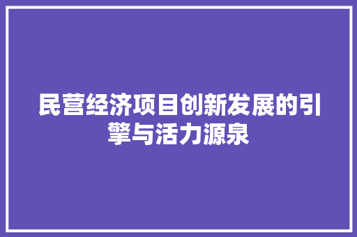 民营经济项目创新发展的引擎与活力源泉 民营经济项目创新发展的引擎与活力源泉