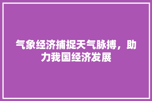 气象经济捕捉天气脉搏,助力我国经济发展 气象经济捕捉天气脉搏,助力我国经济发展