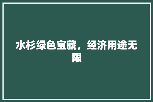 水杉绿色宝藏,经济用途无限 水杉绿色宝藏,经济用途无限