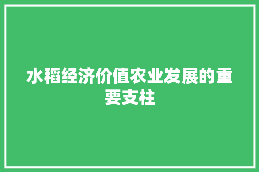 水稻经济价值农业发展的重要支柱 水稻经济价值农业发展的重要支柱