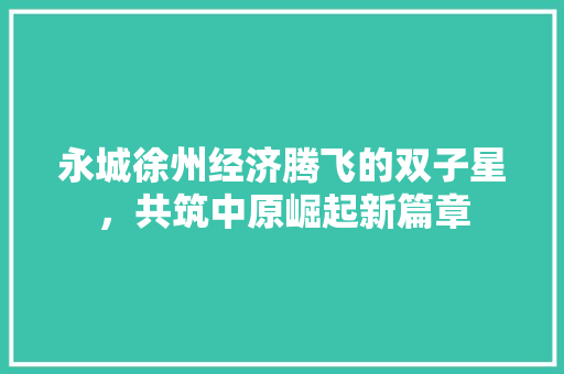 永城徐州经济腾飞的双子星,共筑中原崛起新篇章 永城徐州经济腾飞的双子星,共筑中原崛起新篇章