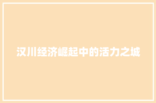 汉川经济崛起中的活力之城 汉川经济崛起中的活力之城