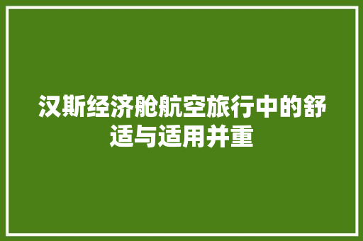 汉斯经济舱航空旅行中的舒适与适用并重 汉斯经济舱航空旅行中的舒适与适用并重
