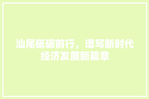 汕尾砥砺前行,谱写新时代经济发展新篇章 汕尾砥砺前行,谱写新时代经济发展新篇章
