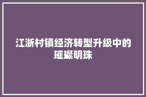 江浙村镇经济转型升级中的璀璨明珠 江浙村镇经济转型升级中的璀璨明珠