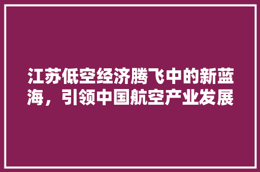 江苏低空经济腾飞中的新蓝海,引领中国航空产业发展新潮流 江苏低空经济腾飞中的新蓝海,引领中国航空产业发展新潮流