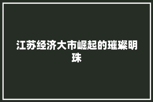 江苏经济大市崛起的璀璨明珠 江苏经济大市崛起的璀璨明珠