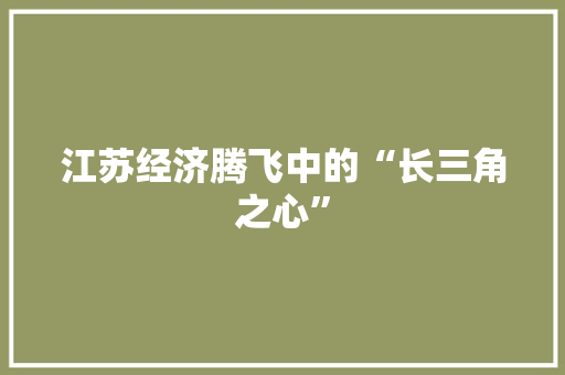 江苏经济腾飞中的“长三角之心” 江苏经济腾飞中的“长三角之心”