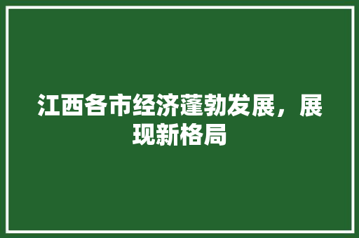 江西各市经济蓬勃发展,展现新格局 江西各市经济蓬勃发展,展现新格局