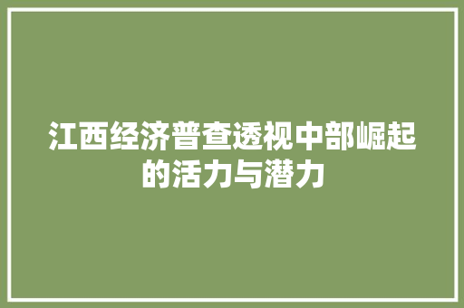 江西经济普查透视中部崛起的活力与潜力 江西经济普查透视中部崛起的活力与潜力