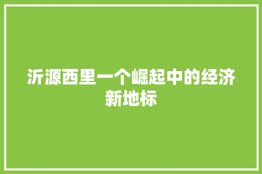 沂源西里一个崛起中的经济新地标 沂源西里一个崛起中的经济新地标