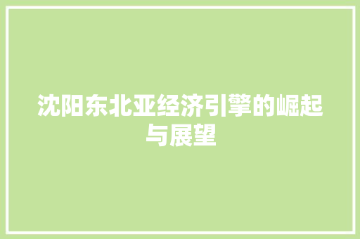 沈阳东北亚经济引擎的崛起与展望 沈阳东北亚经济引擎的崛起与展望