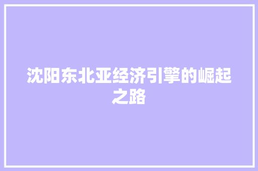 沈阳东北亚经济引擎的崛起之路 沈阳东北亚经济引擎的崛起之路