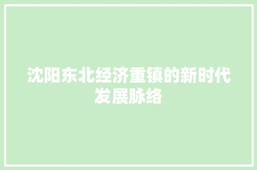 沈阳东北经济重镇的新时代发展脉络 沈阳东北经济重镇的新时代发展脉络