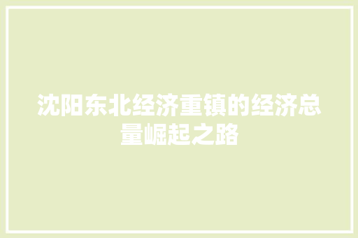 沈阳东北经济重镇的经济总量崛起之路 沈阳东北经济重镇的经济总量崛起之路