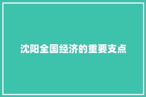 沈阳全国经济的重要支点 沈阳全国经济的重要支点