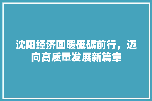 沈阳经济回暖砥砺前行,迈向高质量发展新篇章 沈阳经济回暖砥砺前行,迈向高质量发展新篇章