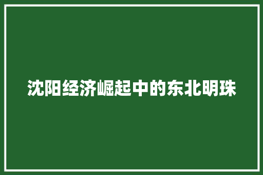 沈阳经济崛起中的东北明珠 沈阳经济崛起中的东北明珠