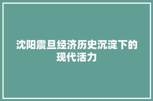 沈阳震旦经济历史沉淀下的现代活力 沈阳震旦经济历史沉淀下的现代活力